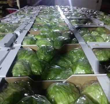 CJJU6231 - Copy copy