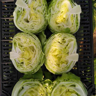 IMG-20200211-WA0071 copy