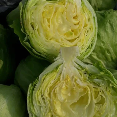 IMG-20200211-WA0074 copy