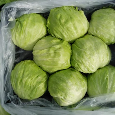 IMG-20200211-WA0078 copy