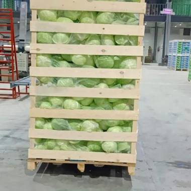 IMG-20231128-WA0048 copy