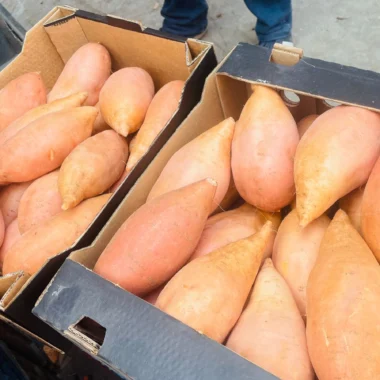 IMG-20231128-WA0123 copy