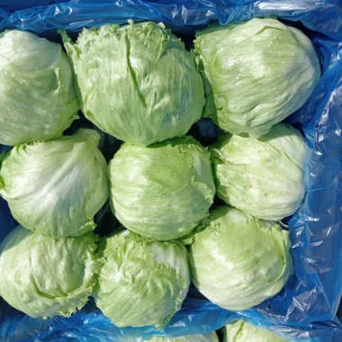 IMG-20240129-WA0003 copy