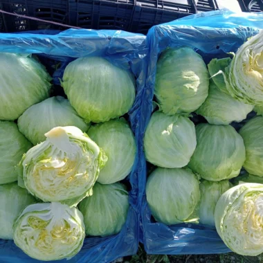 IMG-20240129-WA0005 copy