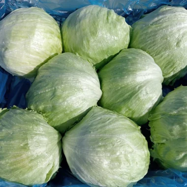 IMG-20240129-WA0008 copy