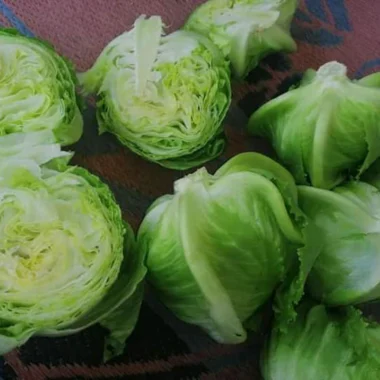 PPYU1411 - Copy copy