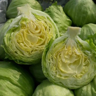 ROAG4399 - Copy copy