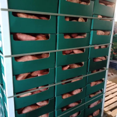 WhatsApp Image 2021-07-31 at 8.23.55 AM copy