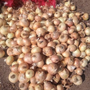 0231a7bf-14b4-47c1-b996-b9dab5159113