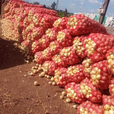 5921eed8-3bd9-4f71-8c7a-0e128d39a9d4