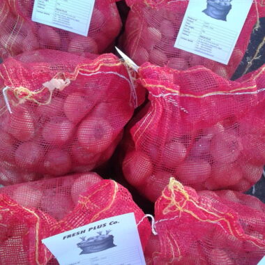 WhatsApp Image 2019-05-10 at 5 35 32 AM