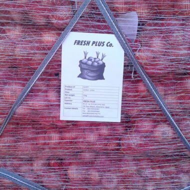 WhatsApp Image 2019-05-10 at 5 36 32 AM