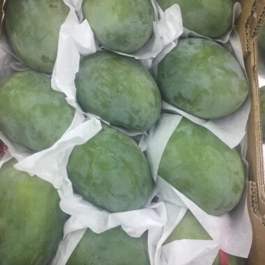 WhatsApp Image 2019-09-04 at 8 58 02 AM