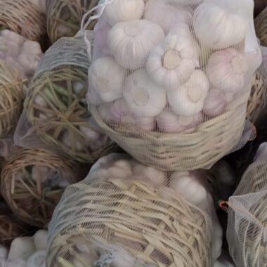 WhatsApp Image 2020-02-25 at 12.29.09 PM