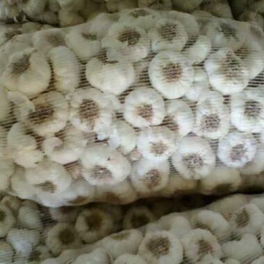 WhatsApp Image 2020-02-25 at 12.30.02 PM