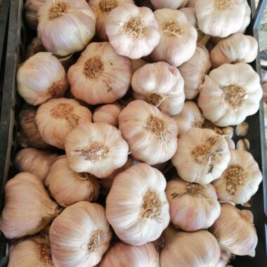 WhatsApp Image 2020-02-25 at 12.31.10 PM