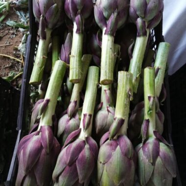 WhatsApp Image 2020-12-06 at 3.20.01 PM-2