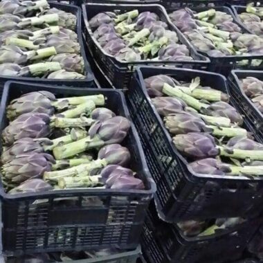 WhatsApp Image 2020-12-07 at 11.18.31 PM