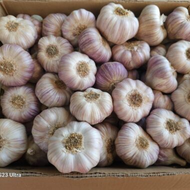 WhatsApp Image 2023-10-09 at 21.20.20_4ac75acf