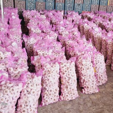 WhatsApp Image 2023-10-09 at 21.23.48_d0d56a65