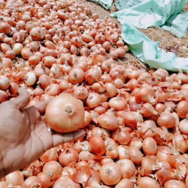 WhatsApp Image 2024-04-24 at 11.42.54 AM (2)