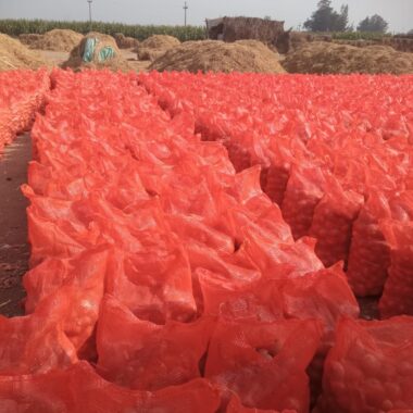 WhatsApp Image 2024-04-24 at 11.42.56 AM (4)