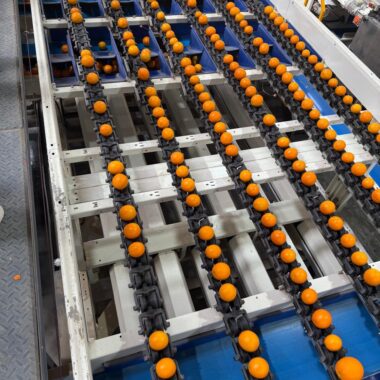 WhatsApp Image 2025-05-17 at 12.41.18_cbd469d0