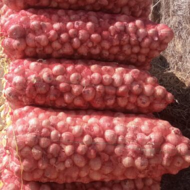 aa94b951-62e6-4454-807c-413ef0f78951