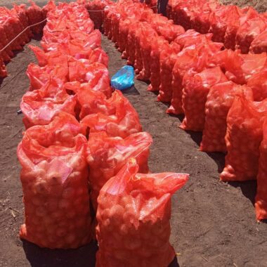 e561d746-60a2-4ef6-ba92-8c354f7f1a7e