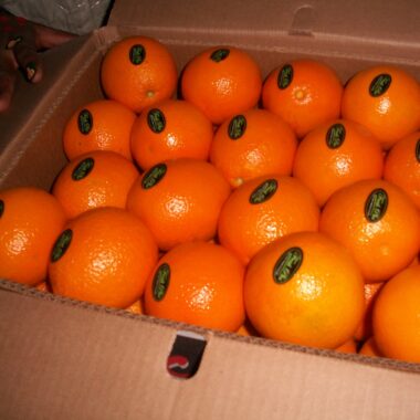 navel orange (5