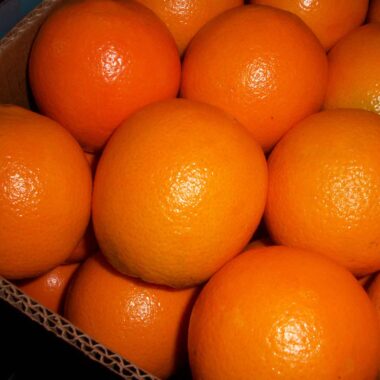 navel orange 7